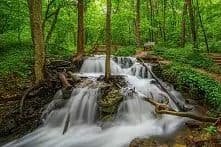 Parkville Nature Sanctuary 