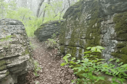 Blue River Parkway Trails