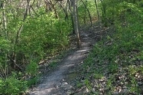 Landahl Park Trails