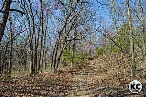 Monkey Mountain Trails