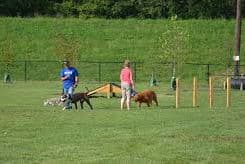 Waggin' Trail Dog Park
